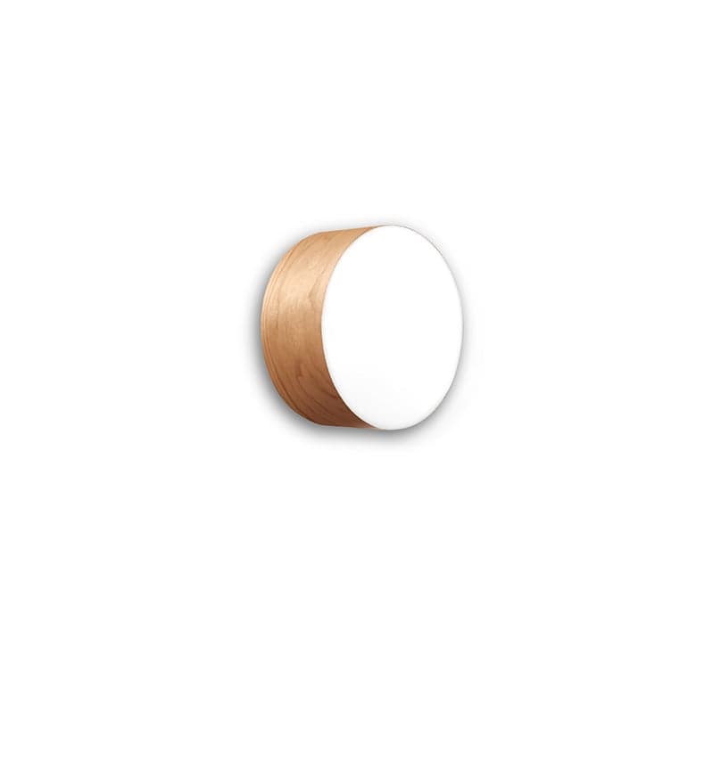 Gea Wall and Ceiling Lamp